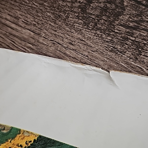 VTG Museum Print GIRL BEFORE A MIRROR by Pablo Picasso Printed in the U.S.A 1988 - Picture 11 of 14